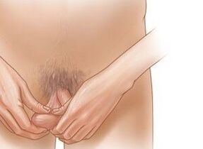latihan jelqing untuk pembesaran penis